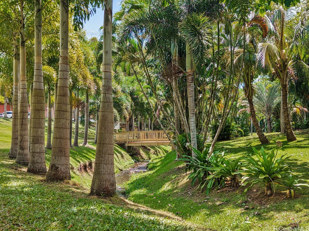 46-63 Emepela Place P205