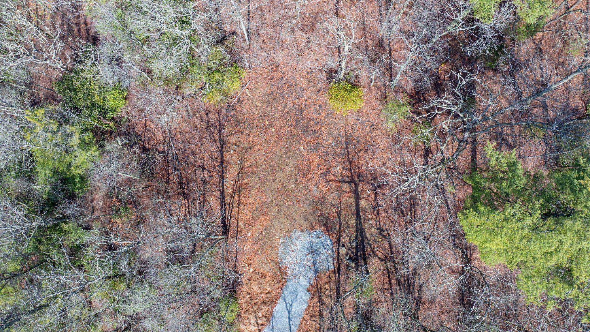 TBD Buck Creek Road