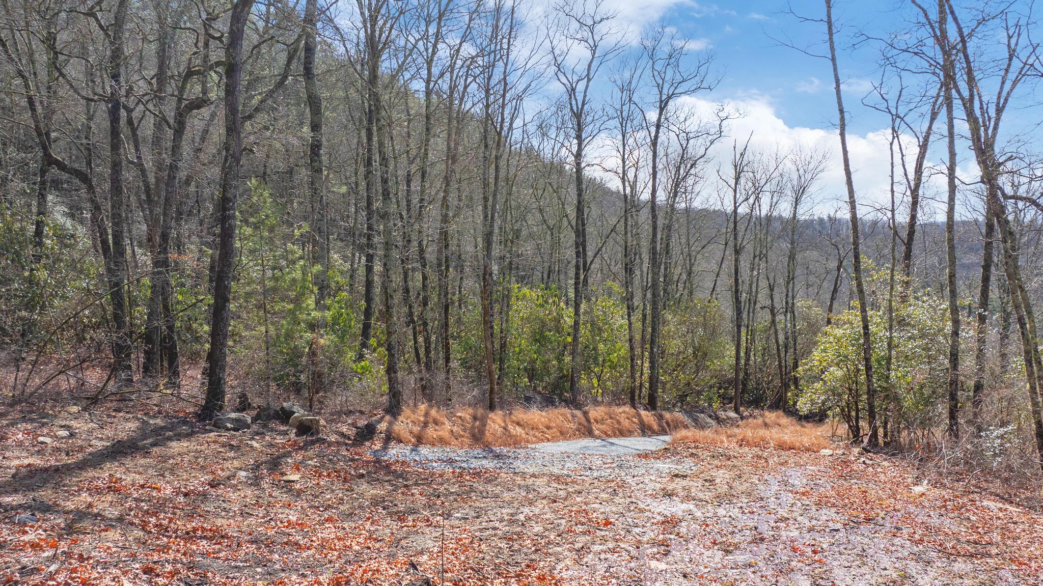 TBD Buck Creek Road