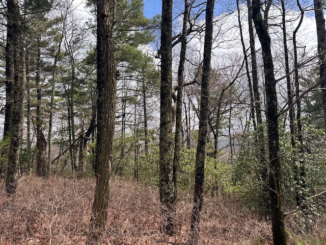 Lot 21 SE Ridge Road