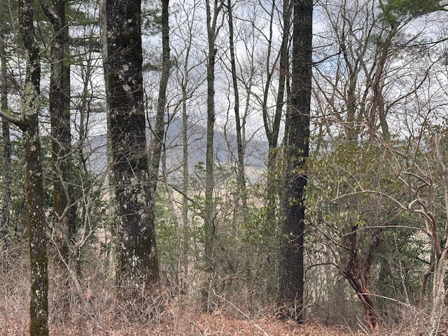 Lot 21 SE Ridge Road