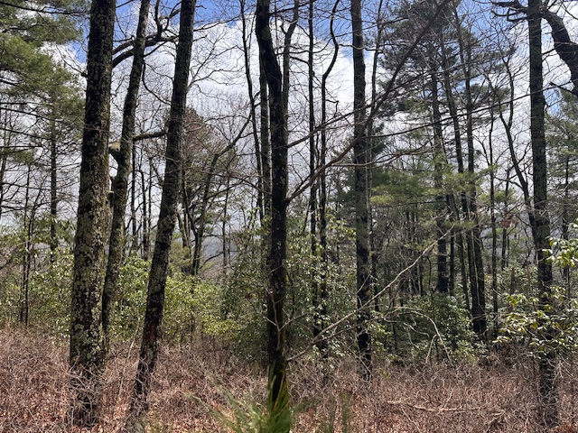 Lot 21 SE Ridge Road