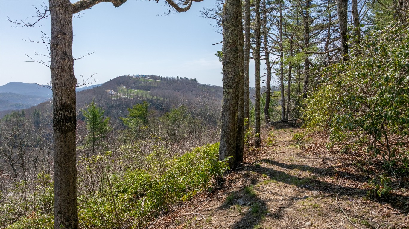 Lot 15 Shirley Pressley Road