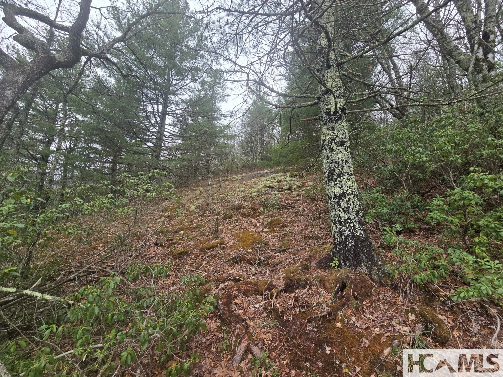 Lot 15 Shirley Pressley Road