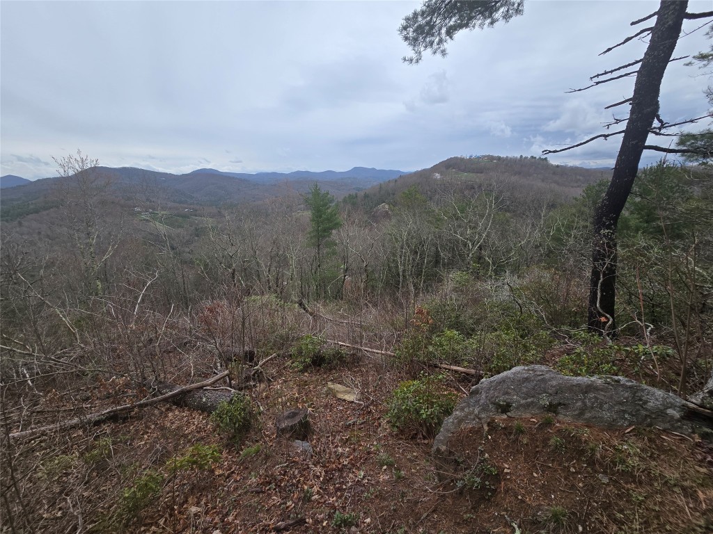 Lot 15 Shirley Pressley Road