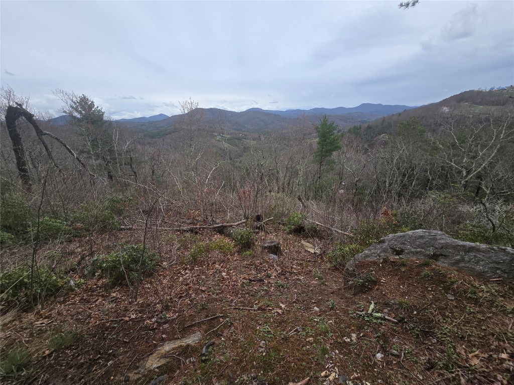 Lot 15 Shirley Pressley Road
