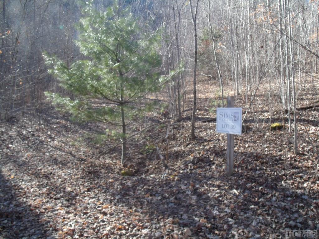 Lot 39 Sweetspring Trail