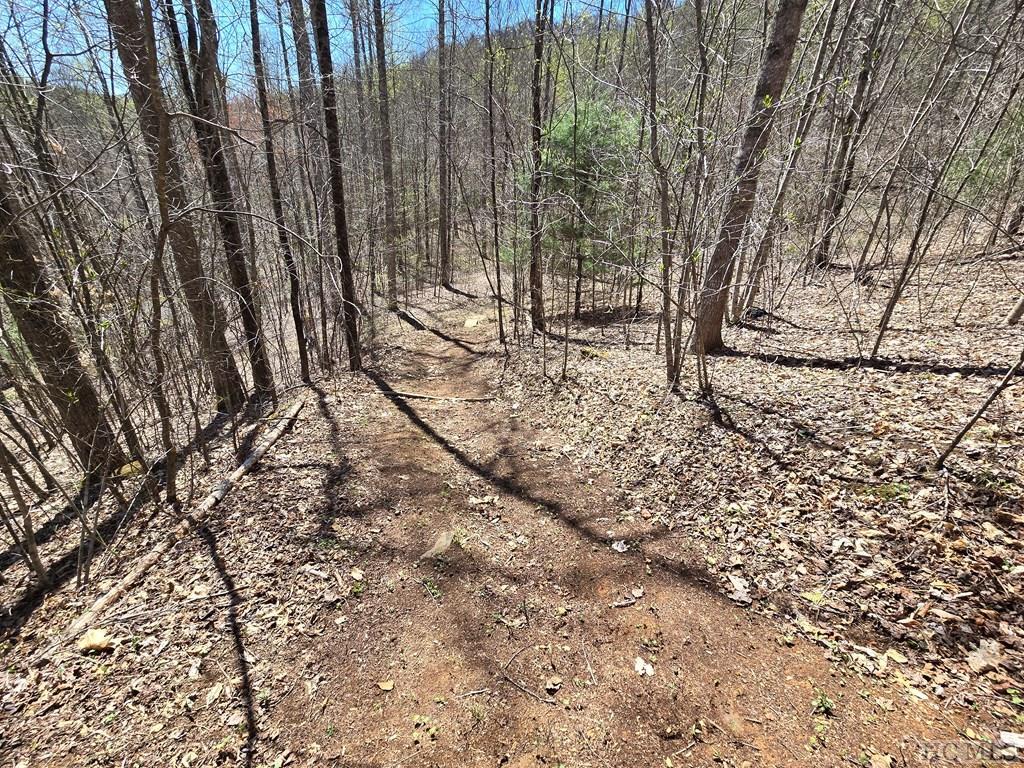 Lot 39 Sweetspring Trail