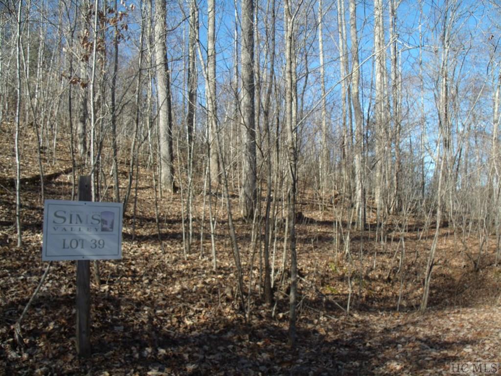 Lot 39 Sweetspring Trail