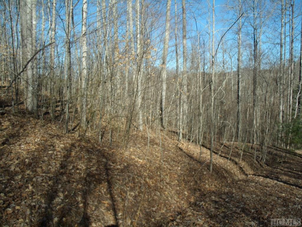 Lot 39 Sweetspring Trail
