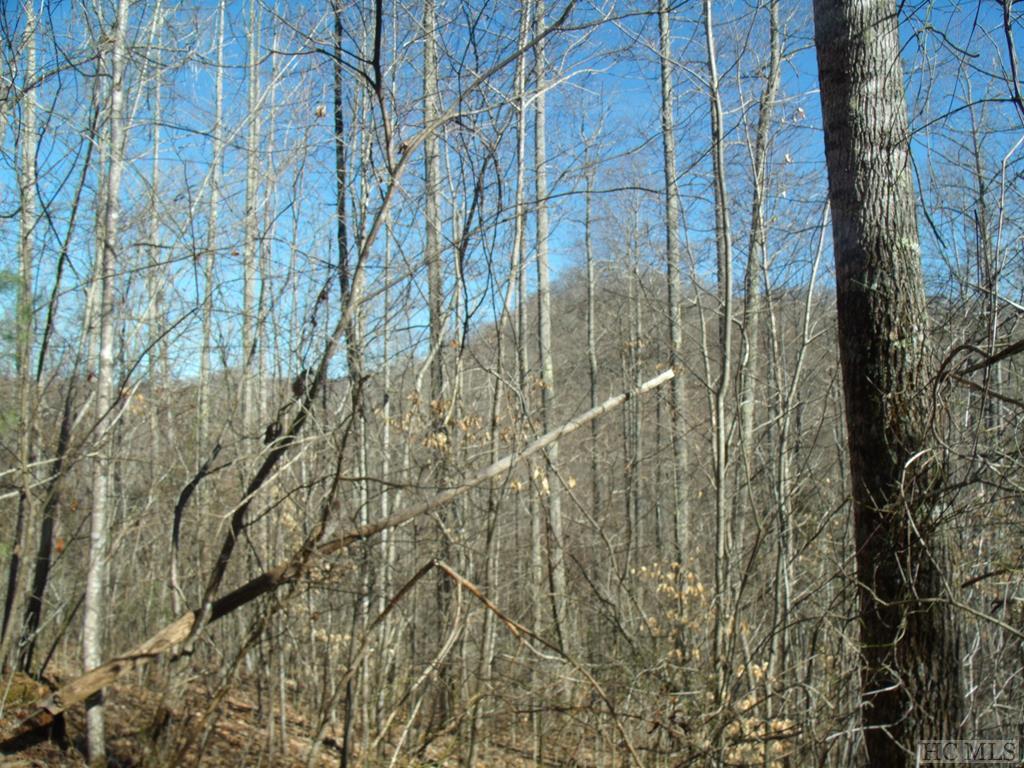 Lot 39 Sweetspring Trail