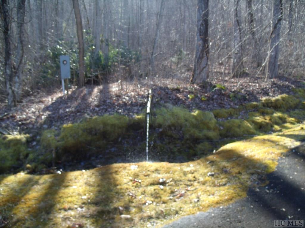 Lot 39 Sweetspring Trail