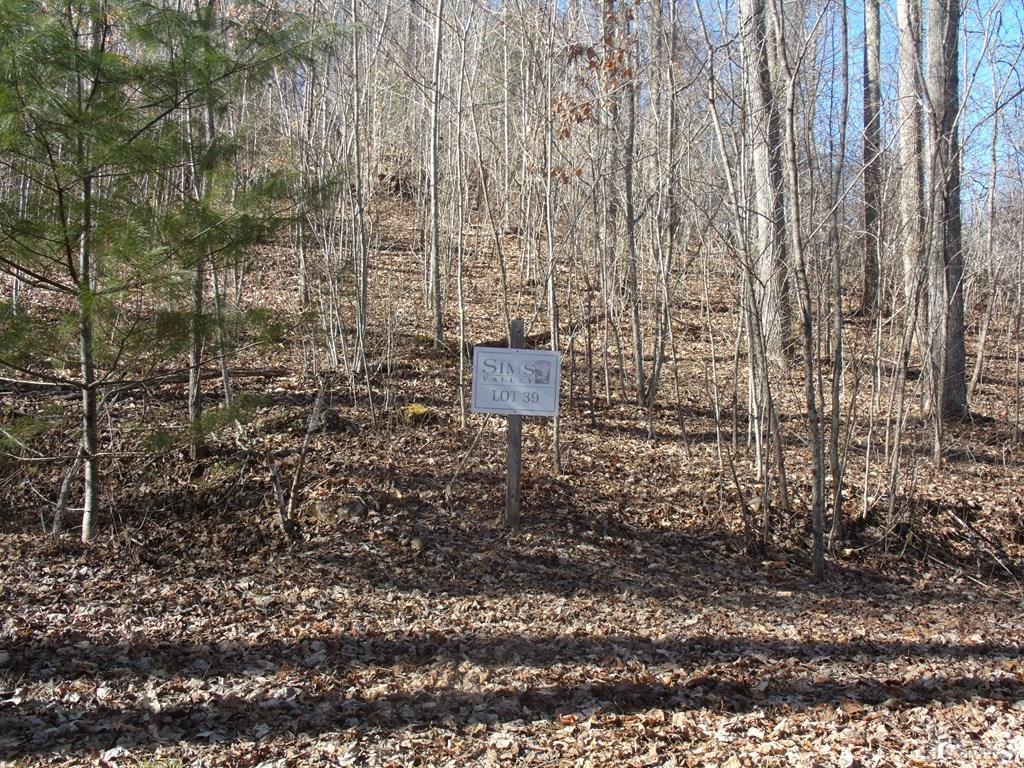 Lot 39 Sweetspring Trail