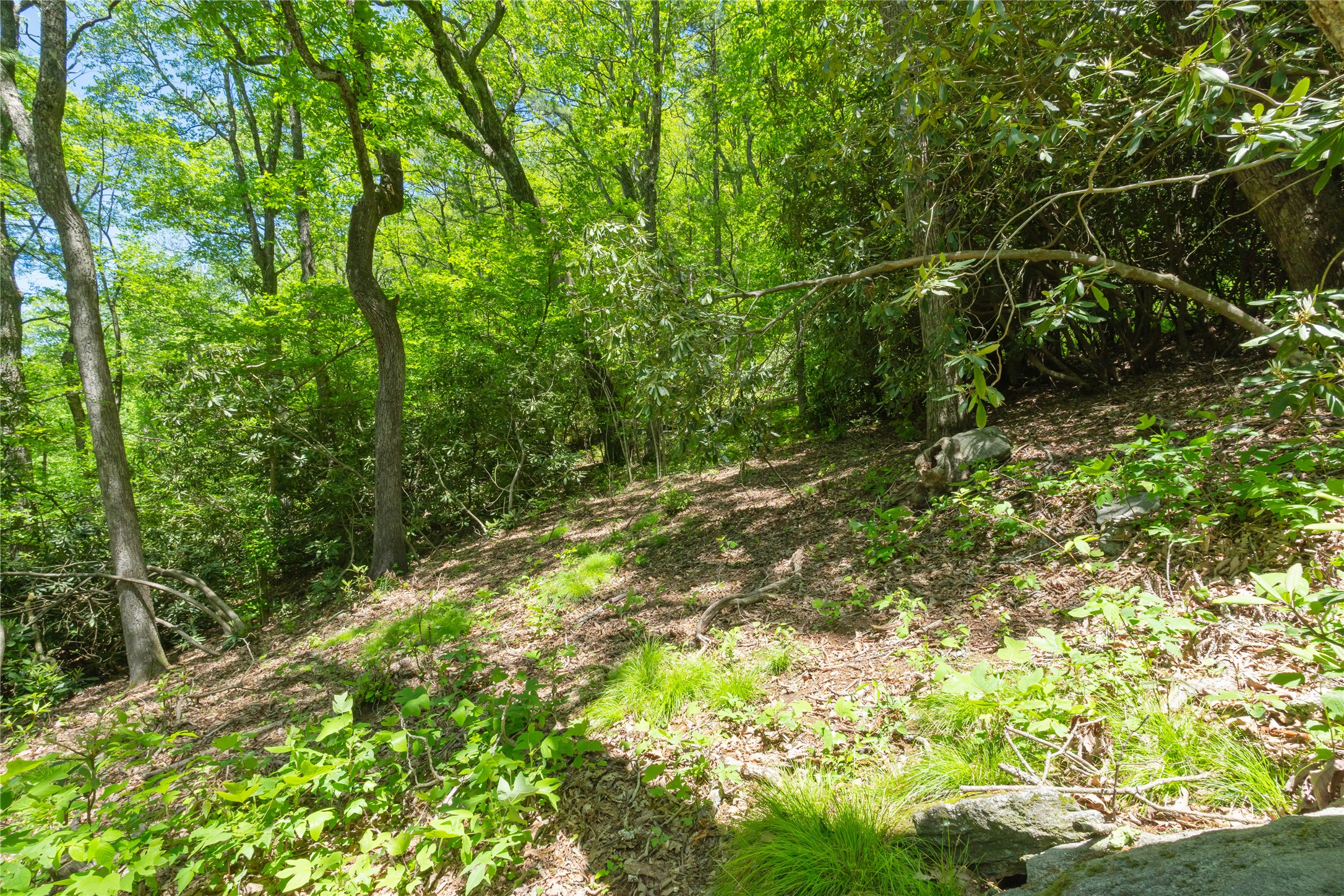 TBD Upper Lake Road