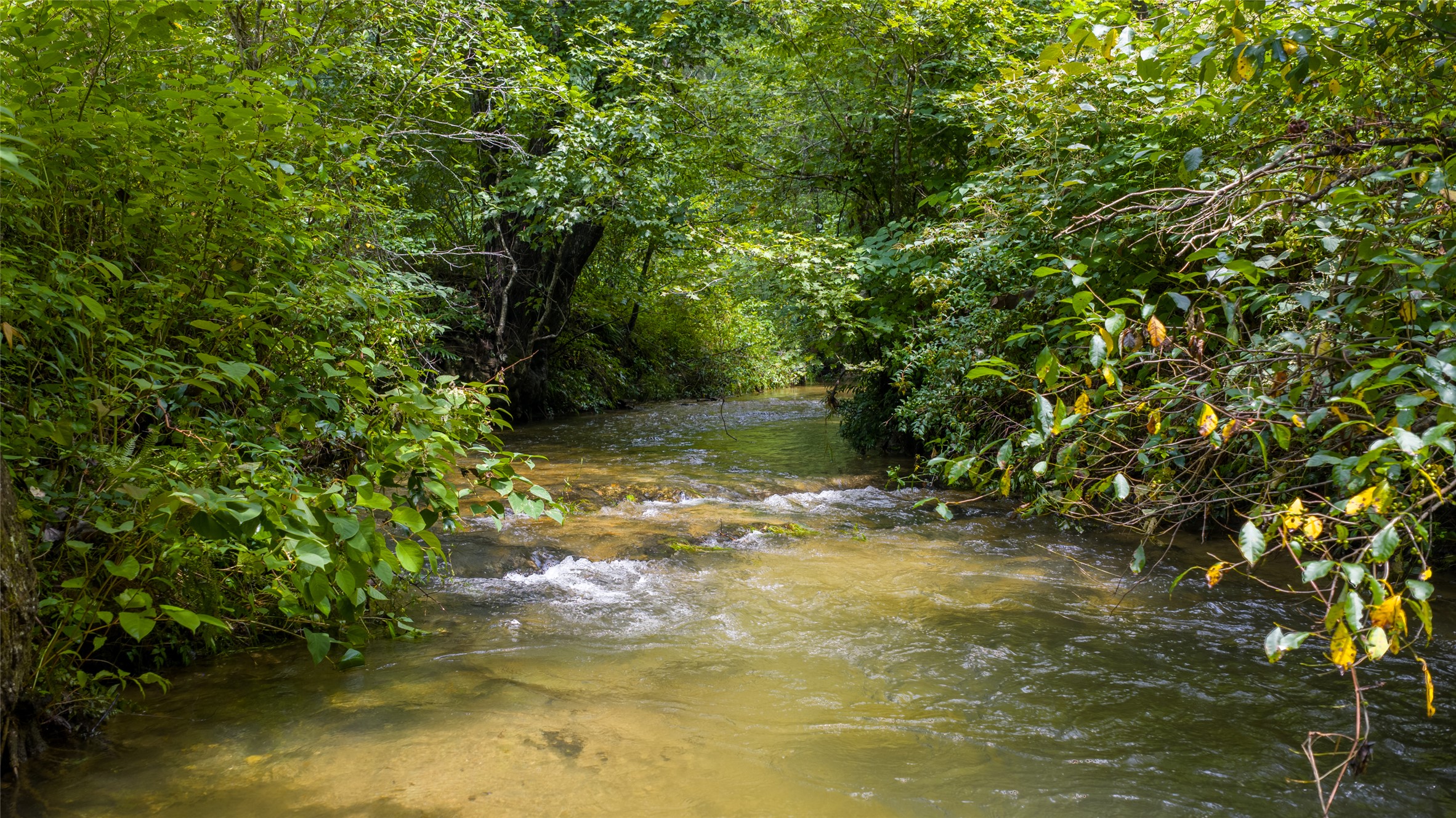 3175 Clear Creek Road