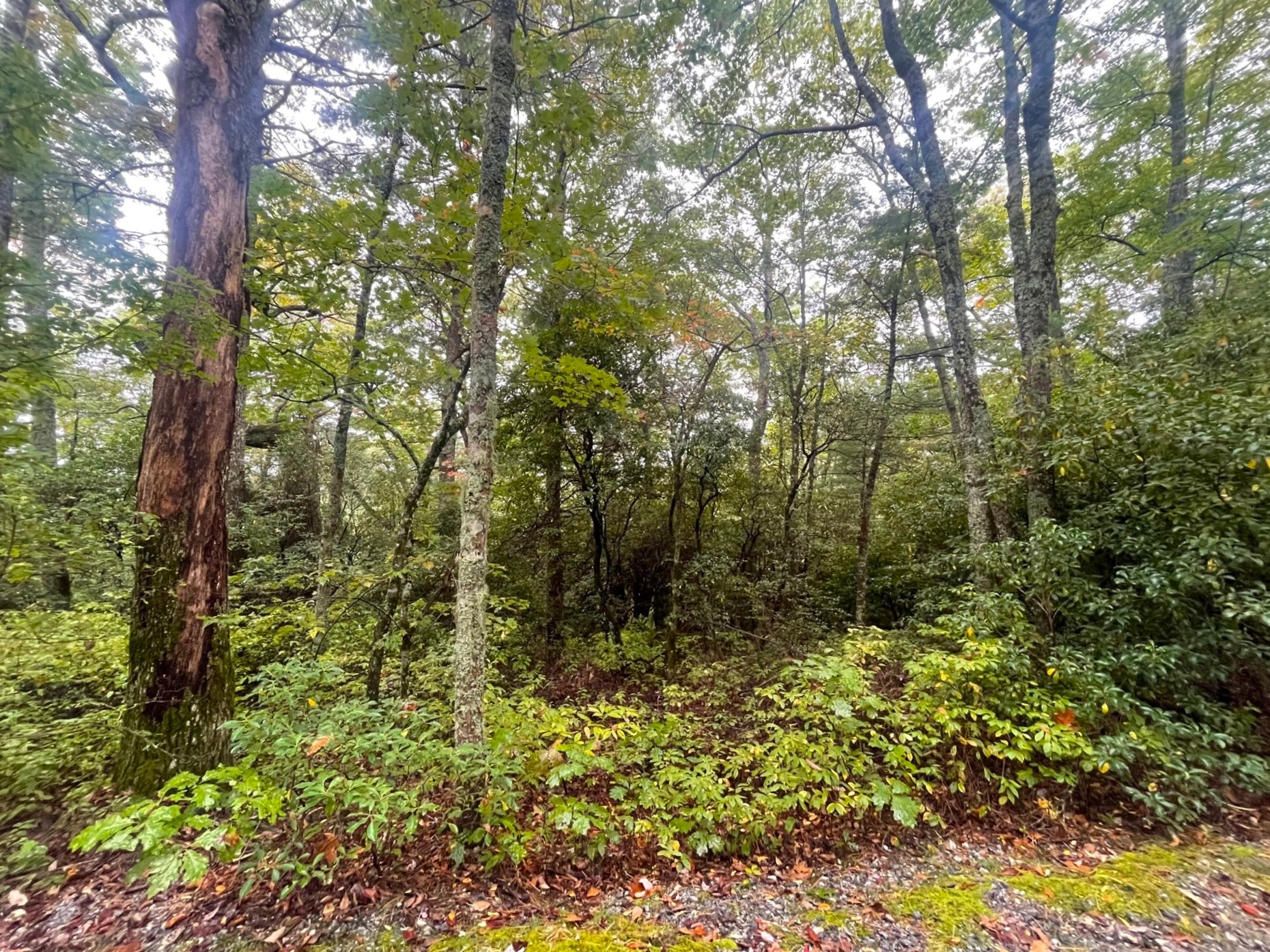 Lot 22 Eastern Summit Road