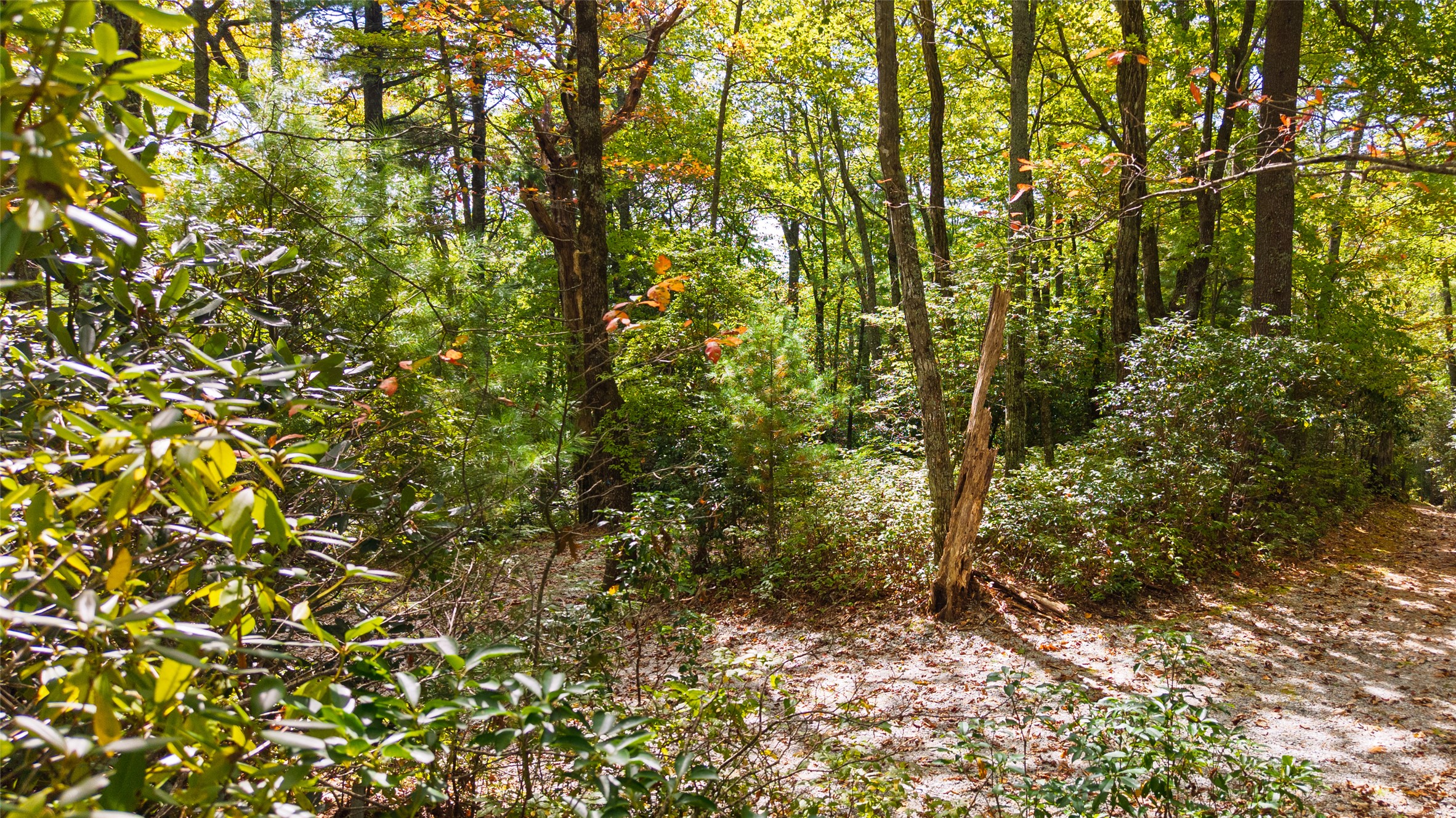 Lot 22 Eastern Summit Road
