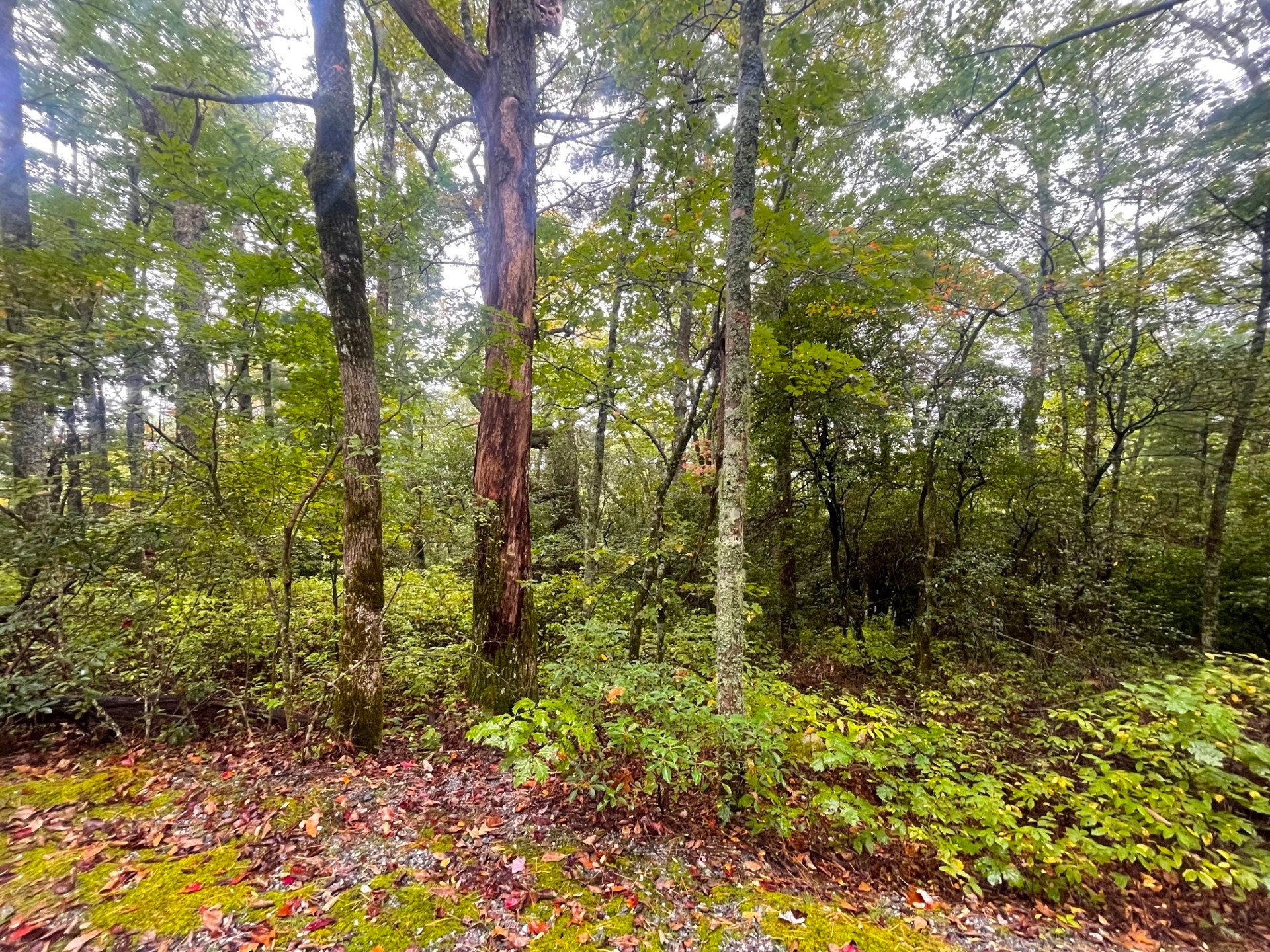 Lot 22 Eastern Summit Road