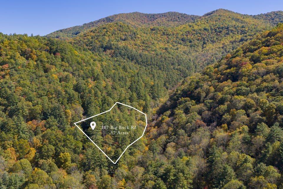 187 Big Buck Road