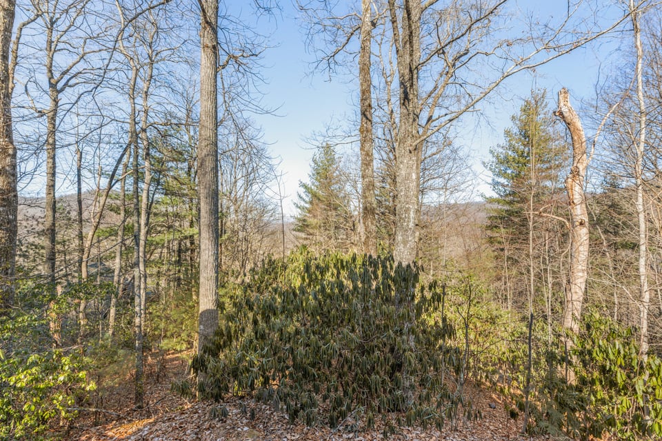 795 Buck Falls Road