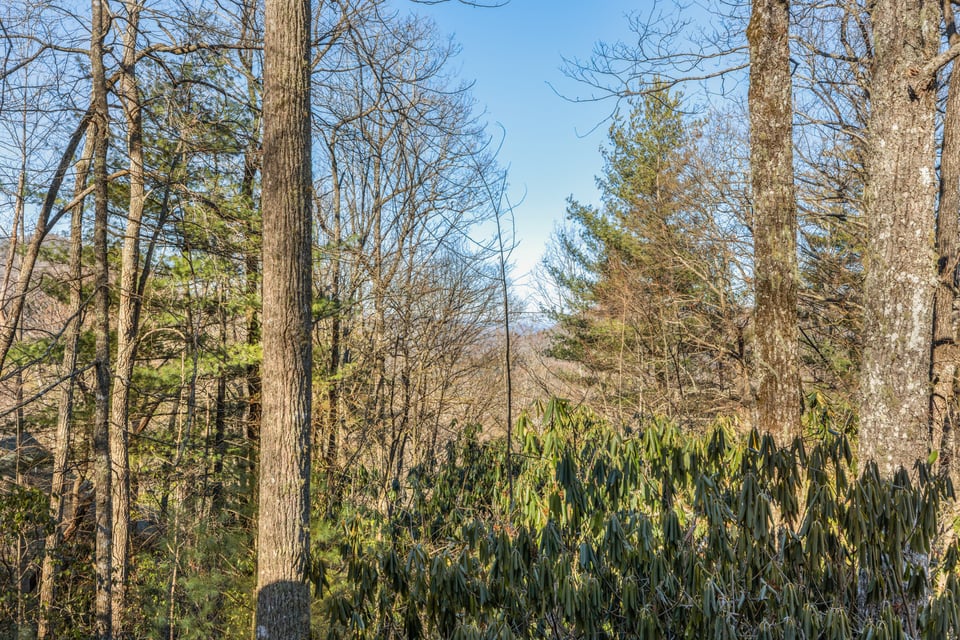 795 Buck Falls Road