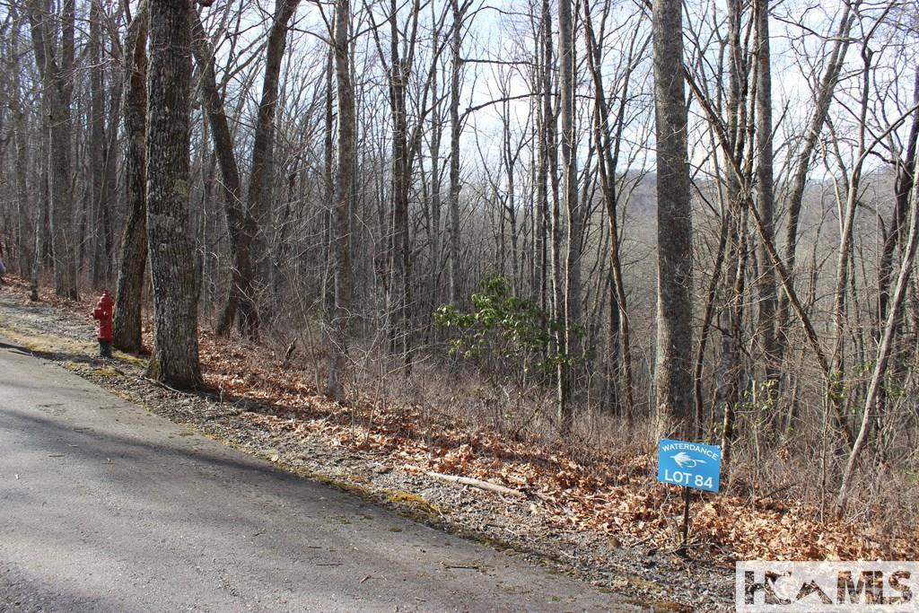 Lot 84 Waterdance Drive