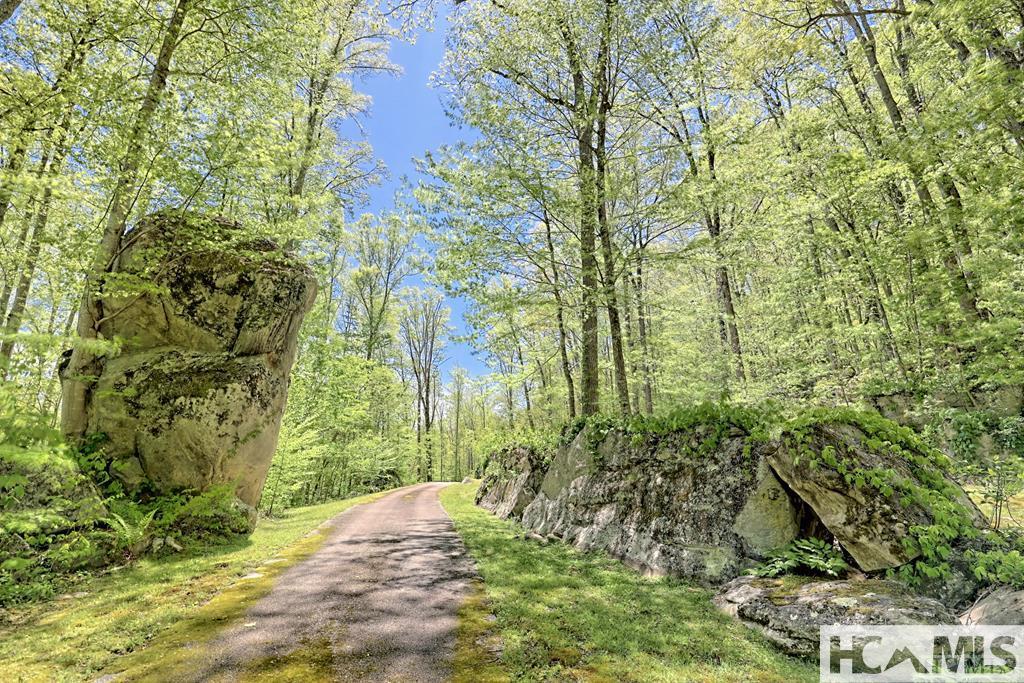 Lot 84 Waterdance Drive