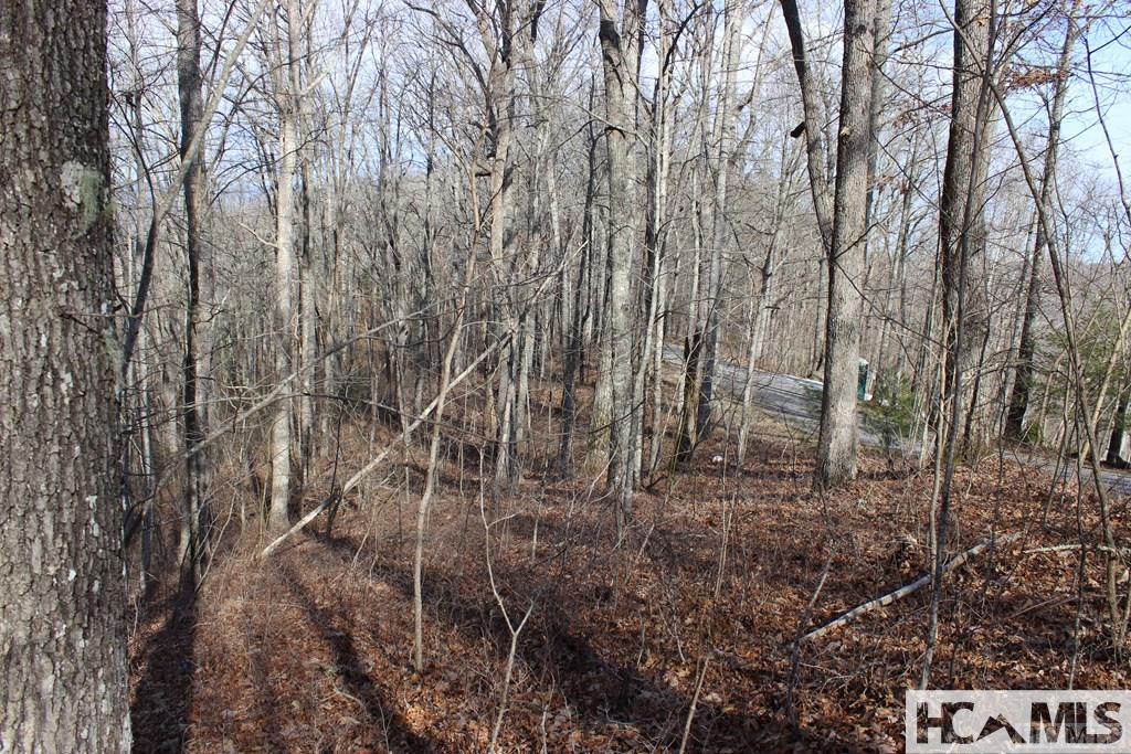 Lot 84 Waterdance Drive