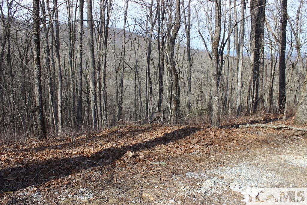 Lot 84 Waterdance Drive