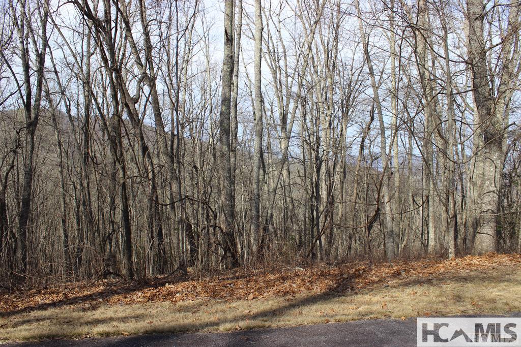 Lot 85 Waterdance Drive