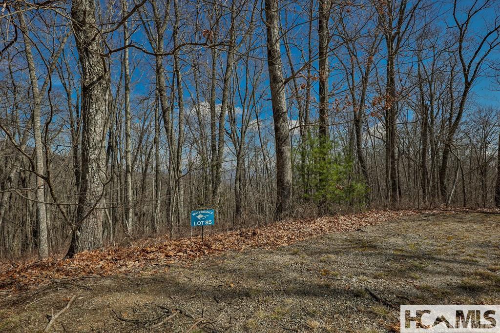 Lot 85 Waterdance Drive