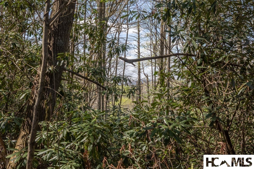 4419 Flat Mountain Road