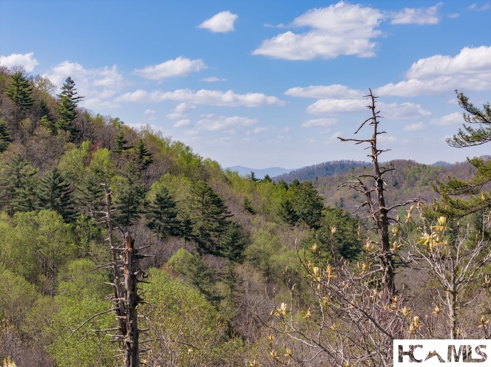 4419 Flat Mountain Road