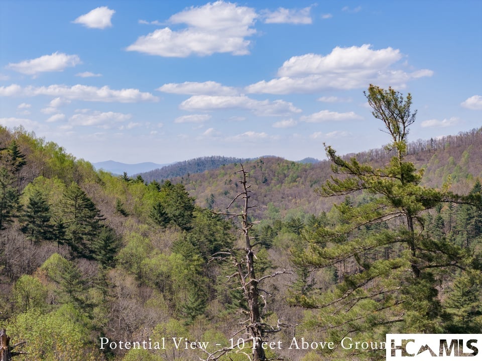 4419 Flat Mountain Road