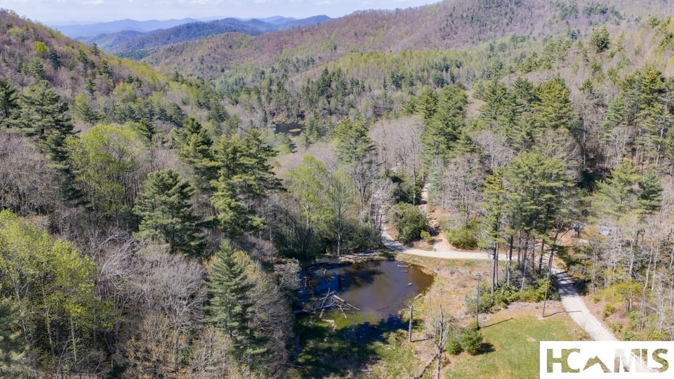4419 Flat Mountain Road