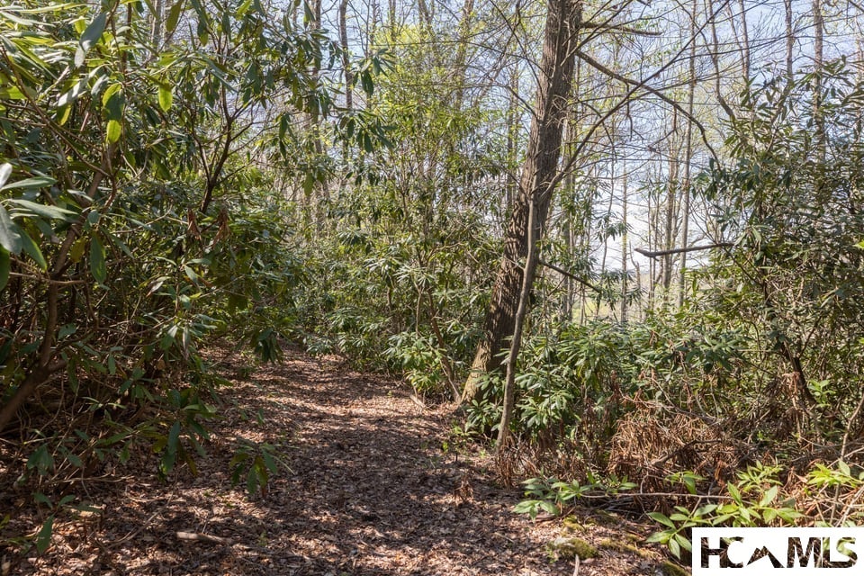 4419 Flat Mountain Road