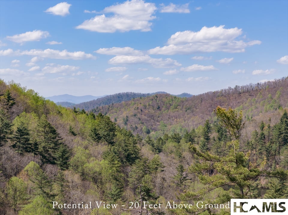 4419 Flat Mountain Road
