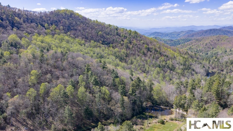 4419 Flat Mountain Road