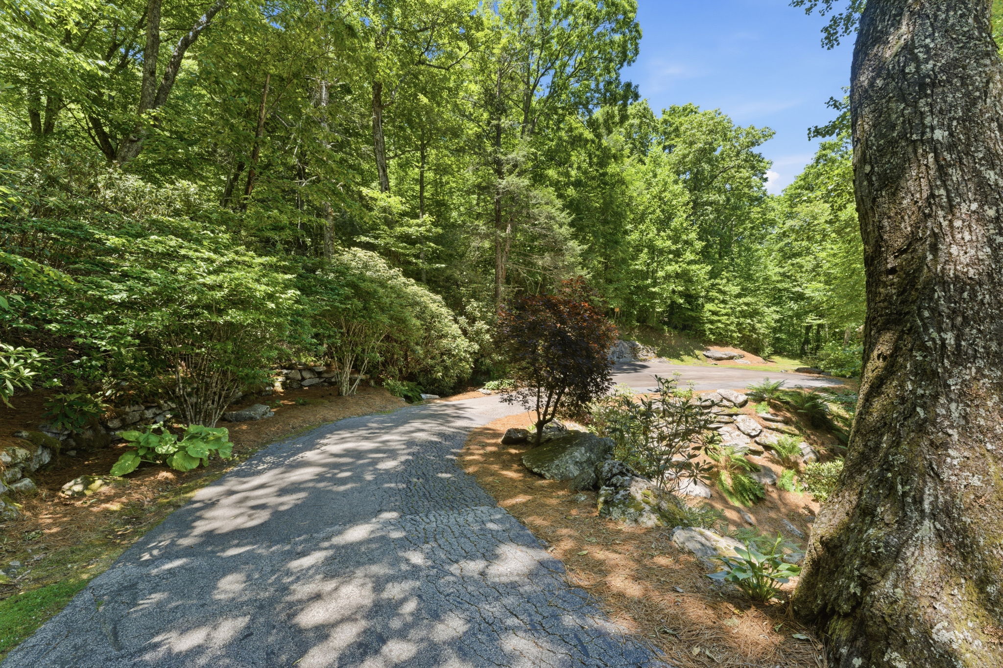 Lot 4 Highlands Point