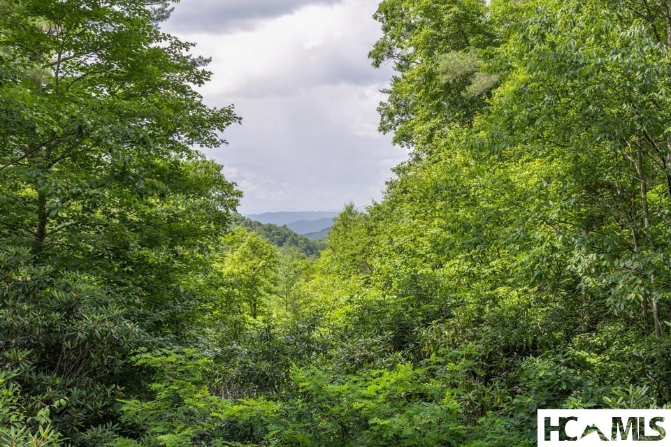 4435 Flat Mountain Road