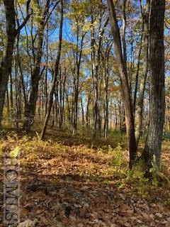 Tract 11 Lake Sequoyah Drive