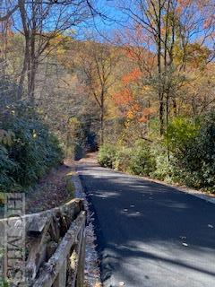 Tract 11 Lake Sequoyah Drive