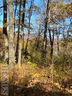 Tract 12 Lake Sequoyah Drive