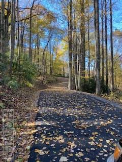 Tract 12 Lake Sequoyah Drive