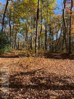 Tract 12 Lake Sequoyah Drive