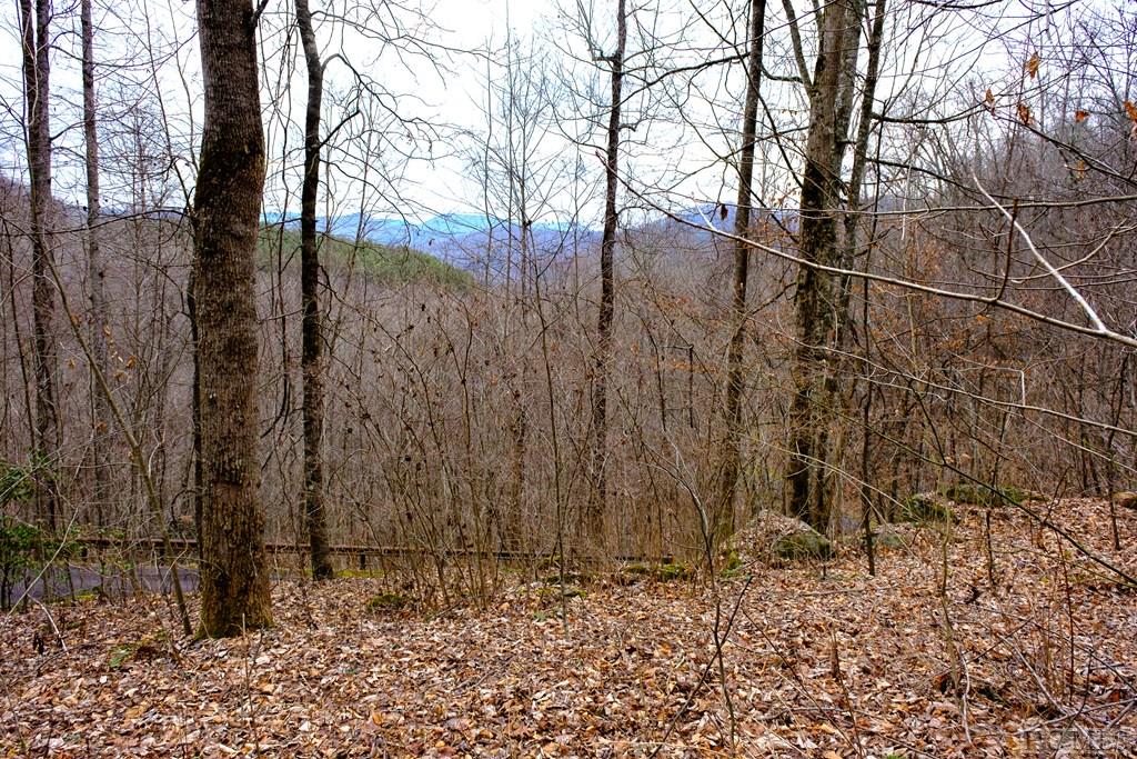 Lot 47 Yellow Palmer Lane
