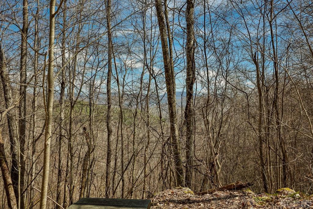 Lot 47 Yellow Palmer Lane