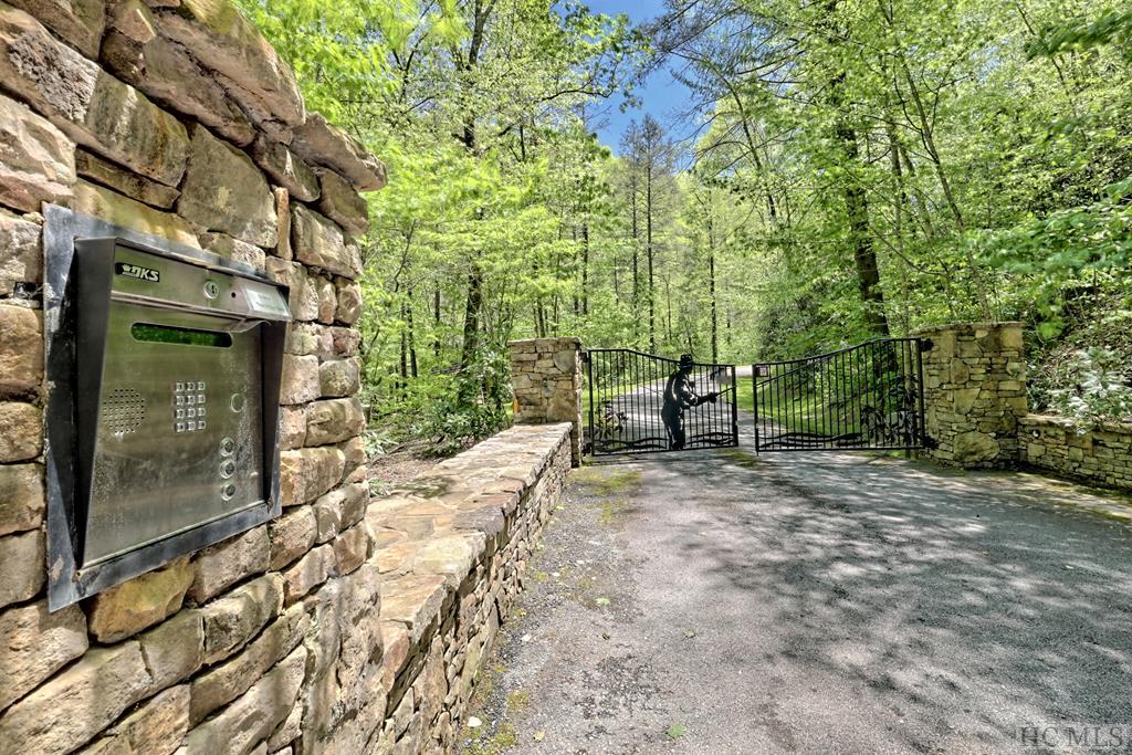 Lot 47 Yellow Palmer Lane