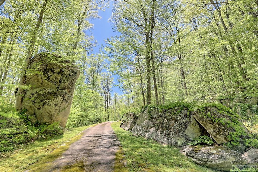 Lot 47 Yellow Palmer Lane