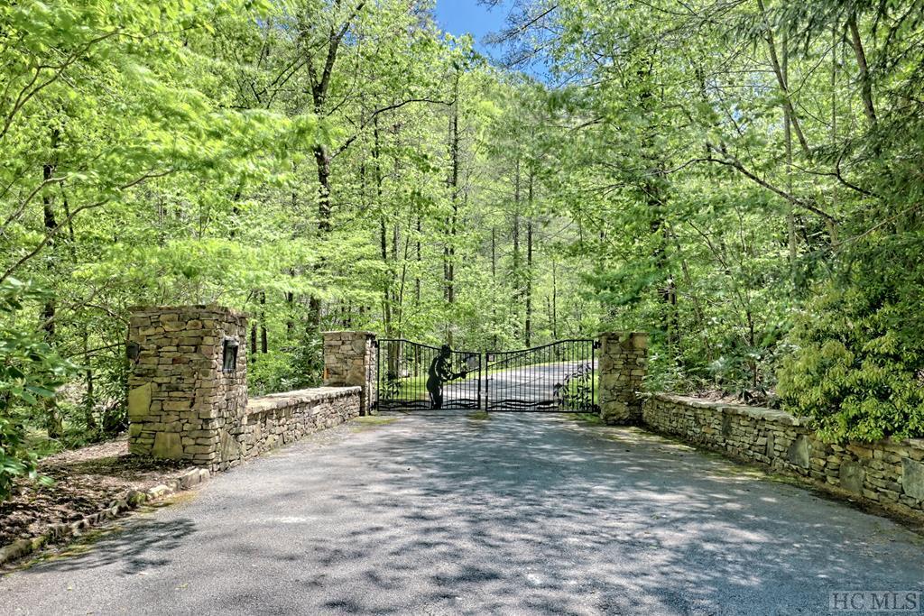 Lot 47 Yellow Palmer Lane